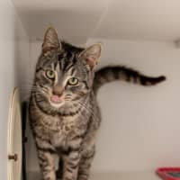 Photo of Bunny Rabbitt