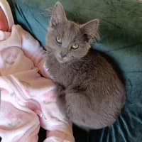Photo of Melody