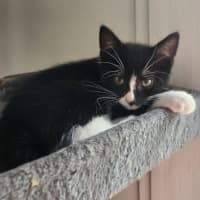 Photo of Sparkles