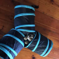 Photo of Pepper