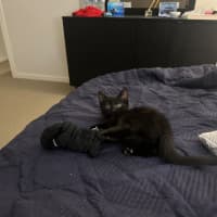 Photo of Button