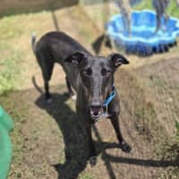 Photo of Shadow Moon