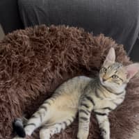 Photo of Xyla