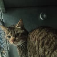 Photo of Marbilly
