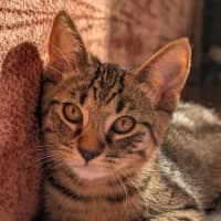 Photo of Tim Tam