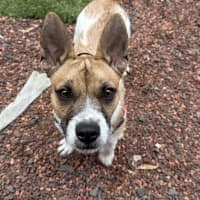 Photo of Turbo
