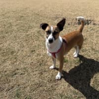 Photo of Lillie Uffelman