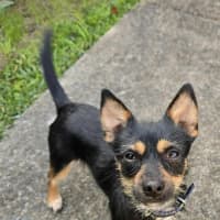 Photo of Ernie (8988)