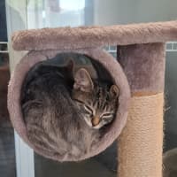Photo of Boots
