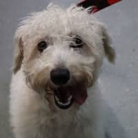 Photo of Miss Bickie