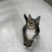Photo of Angel