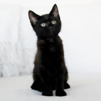 Photo of Marley
