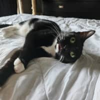 Photo of Puddin
