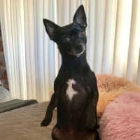 Photo of Milo & Angel