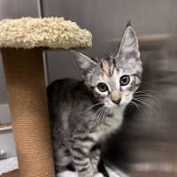 Photo of Emme Frankie