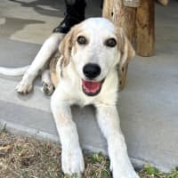 Photo of Clyde
