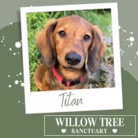 Photo of Titan
