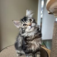 Photo of Jack & Jupiter