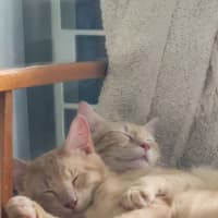 Photo of Cider And Caesar