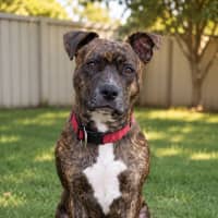 Photo of Jess