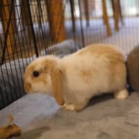 Photo of Hops & Barley