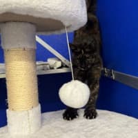 Photo of Meredith 