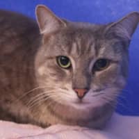 Photo of Lucky