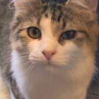 Photo of Watson 