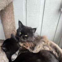 Photo of Ghetto & Gucci