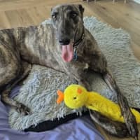 Photo of Rickie And Chippie