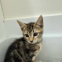 Photo of Hope