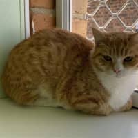 Photo of Thelma