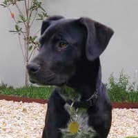 Photo of Waldorf