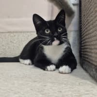 Photo of Onyx (0032)