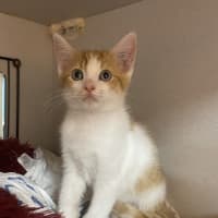 Photo of Fillmore