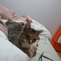 Photo of Mina