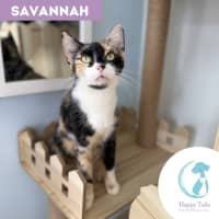 Photo of Savannah