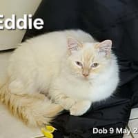 Photo of Eddie