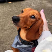 Photo of Evie And Ella