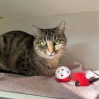 Photo of Big Eyes Betty