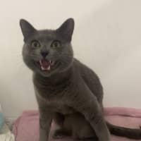 Photo of Xero