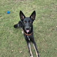 Photo of Atlas