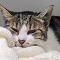 Photo of Elsie