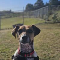 Photo of Bubba