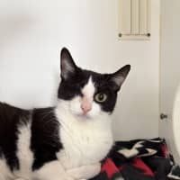 Photo of Coraline 
