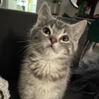 Photo of Umami And Dashi