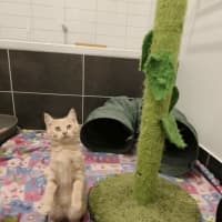 Photo of Garthie
