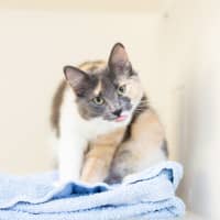 Photo of Tammy