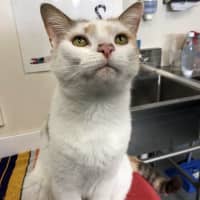 Photo of Mildred