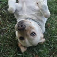 Photo of Hayleywaley